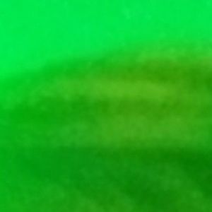 Meet your Posher, Mackenzie